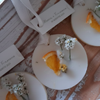 Bomboniera Profumatore Botanico Ramo