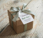 Portaconfetti Scatolina "Rametto Verde"
