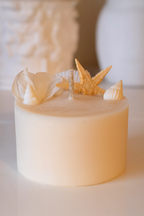 Bomboniera Candela Torta 50 g Orsetto Rosa