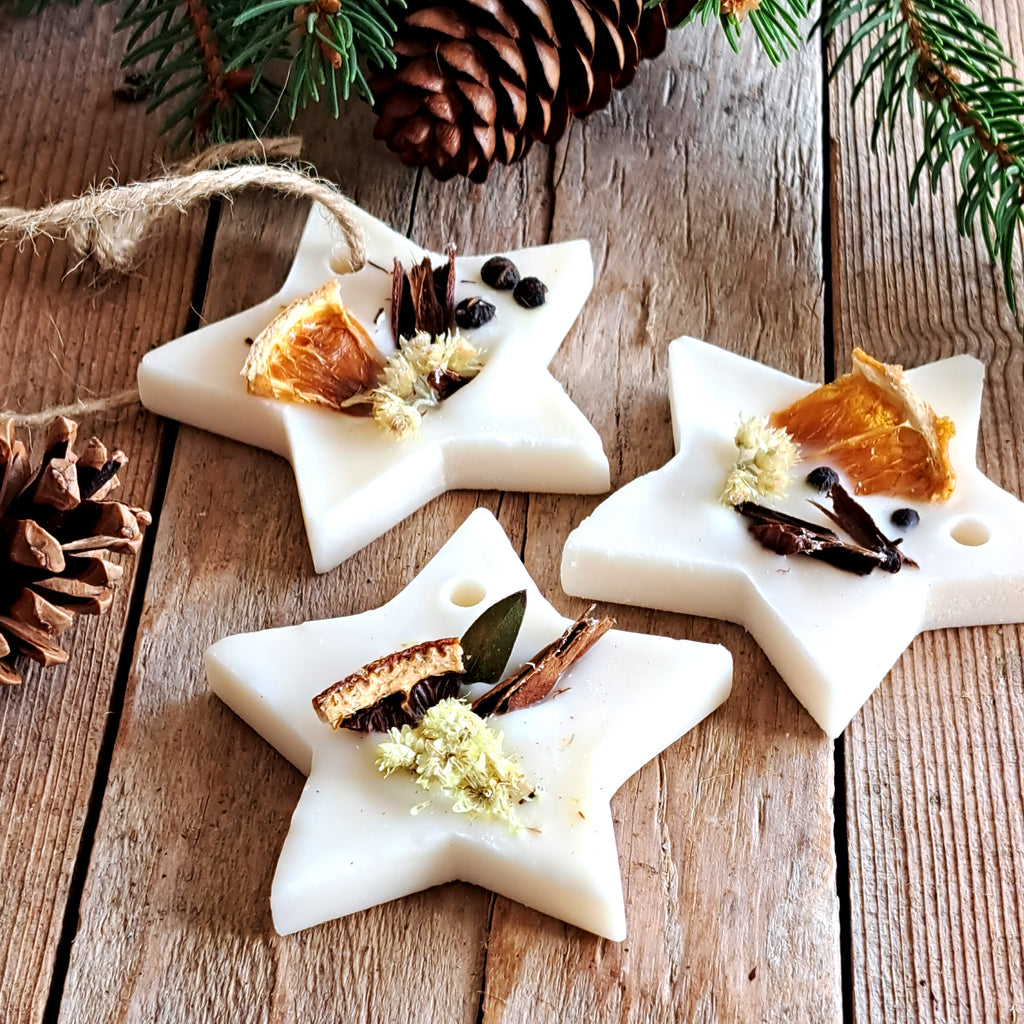 Profumatore Botanico Stella Regalo di Natale