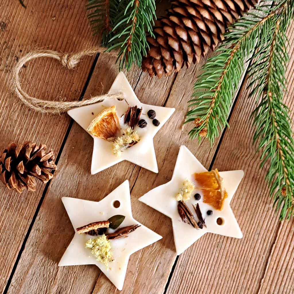 Profumatore Botanico Stella Regalo di Natale